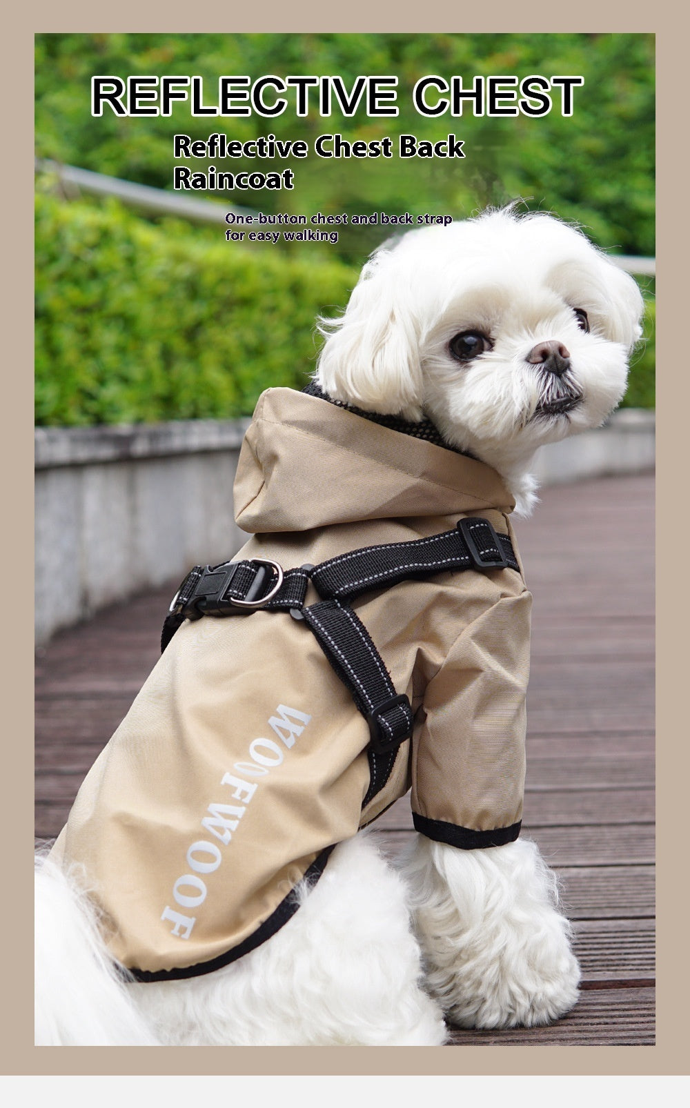 White dog wearing a sand hooded raincoat with built-in harness