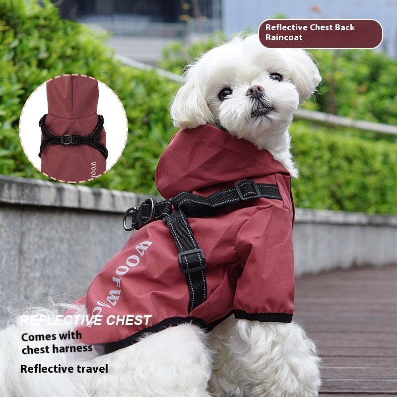 White dog wearing a burgundy hooded raincoat with built-in harness outdoors